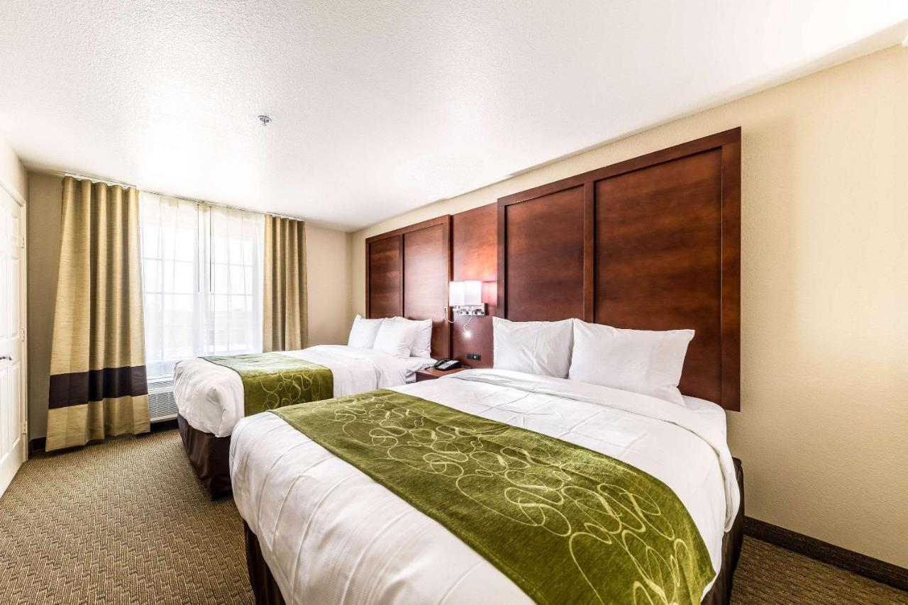 Comfort Suites Grand Prairie - Arlington North Zewnętrze zdjęcie